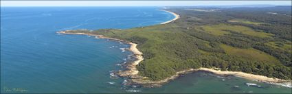 Cape Conran - VIC (PBH3 00 33387)